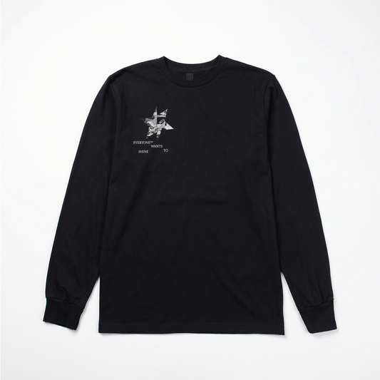 EVERYONE℠ WANTS TO SHINE